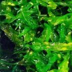 Best Seaweed Salad in Bayport, NY